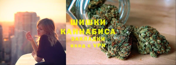 ГАЛЛЮЦИНОГЕННЫЕ ГРИБЫ Алексин