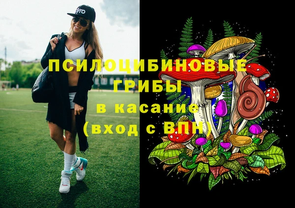 ГАЛЛЮЦИНОГЕННЫЕ ГРИБЫ Алексин